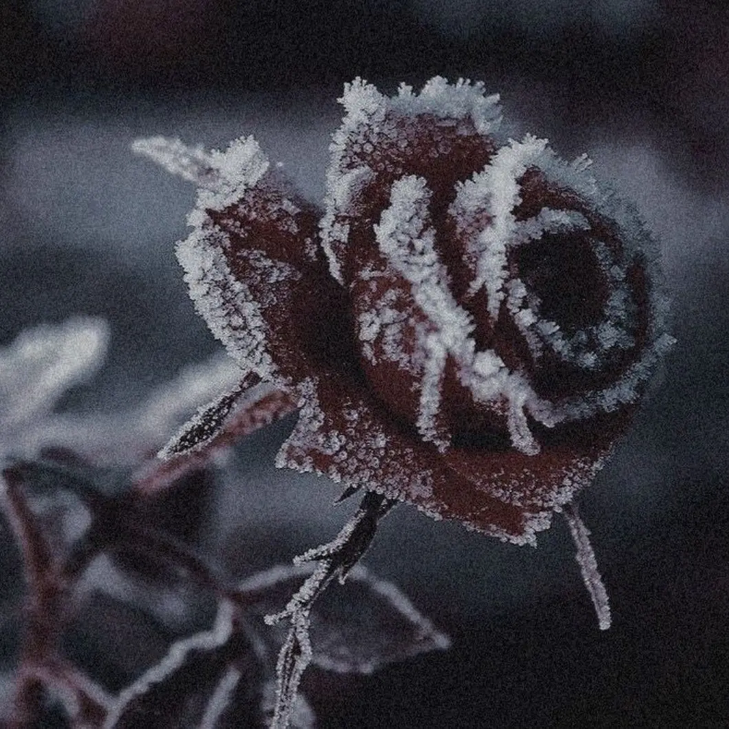 younss의 •