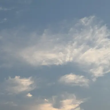 Profile image of 잠뜰