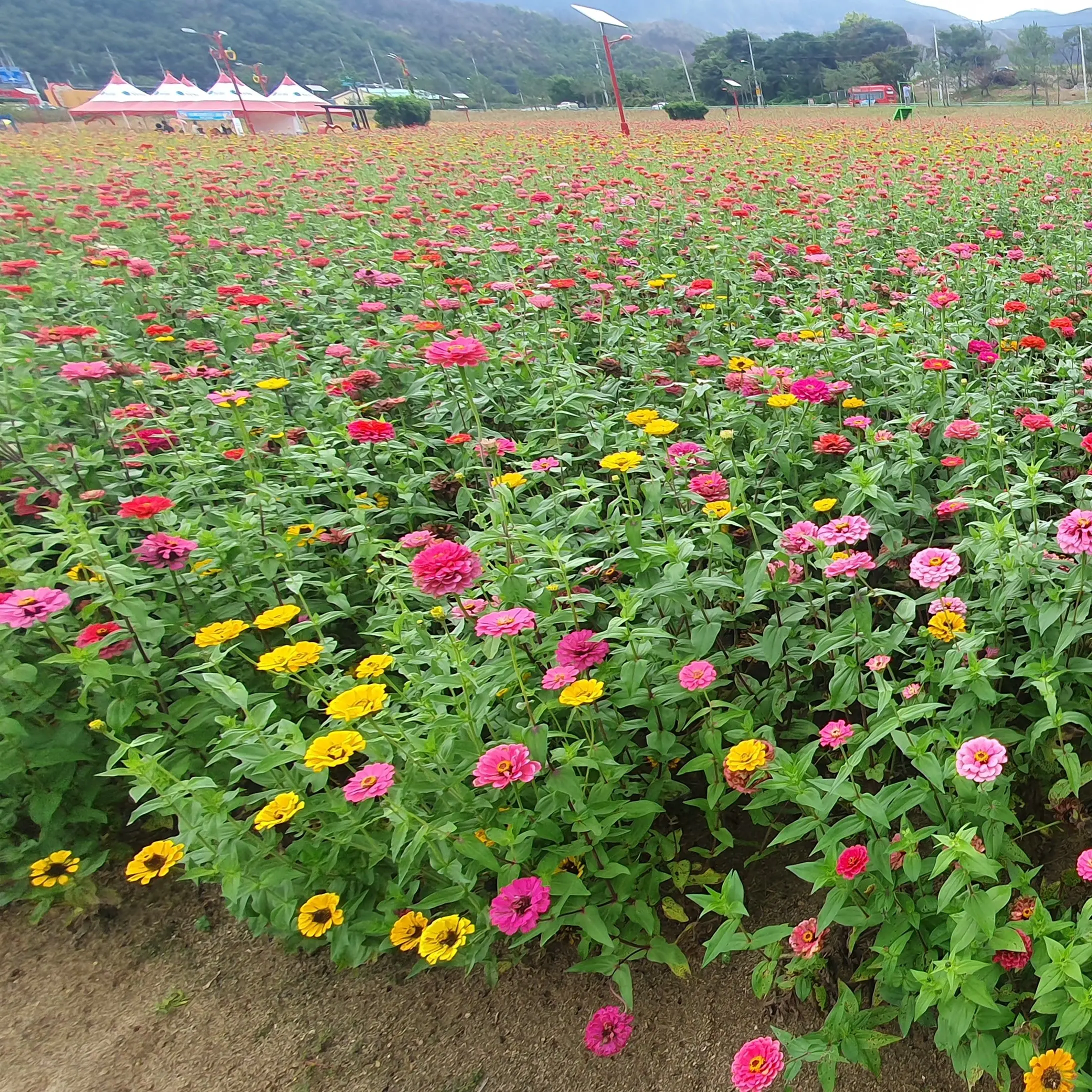 Sleepyhead1206의 연이 [남편]