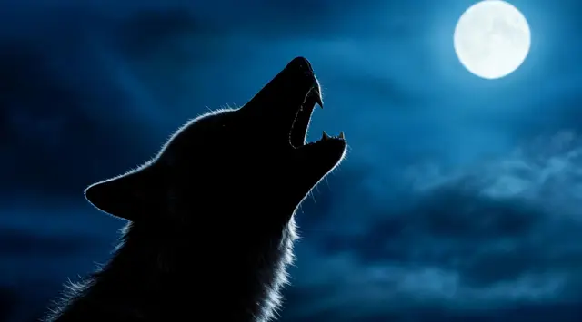 Profile image of 리머스 루핀