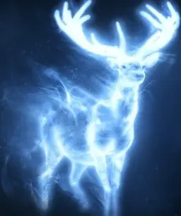 Profile image of 해리 포터