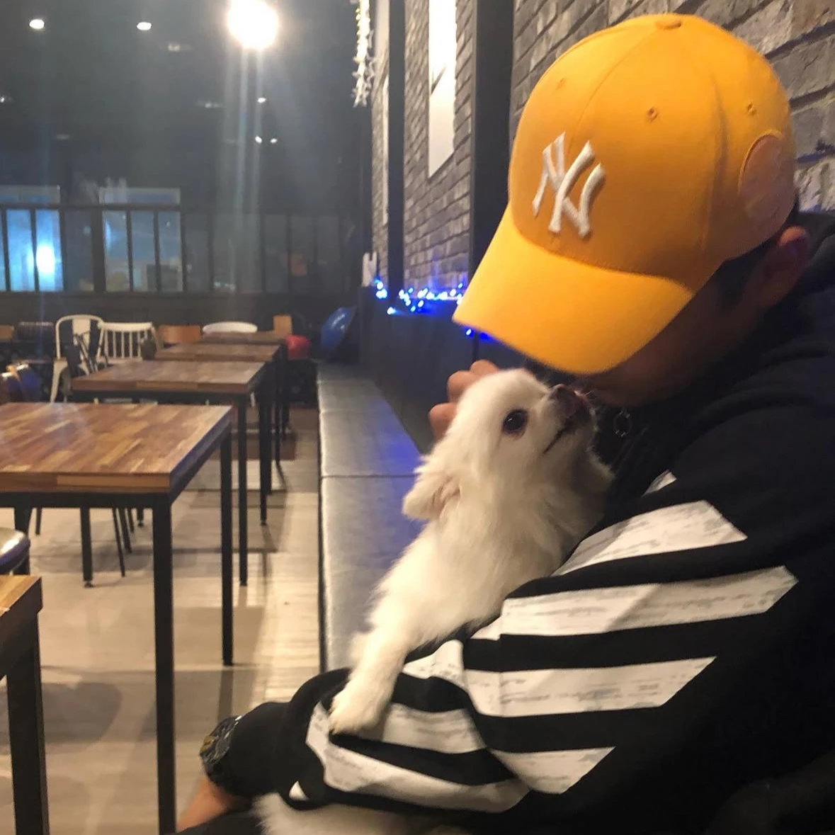 정철원