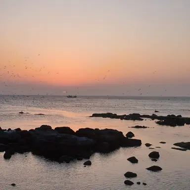 Profile image of 덕개