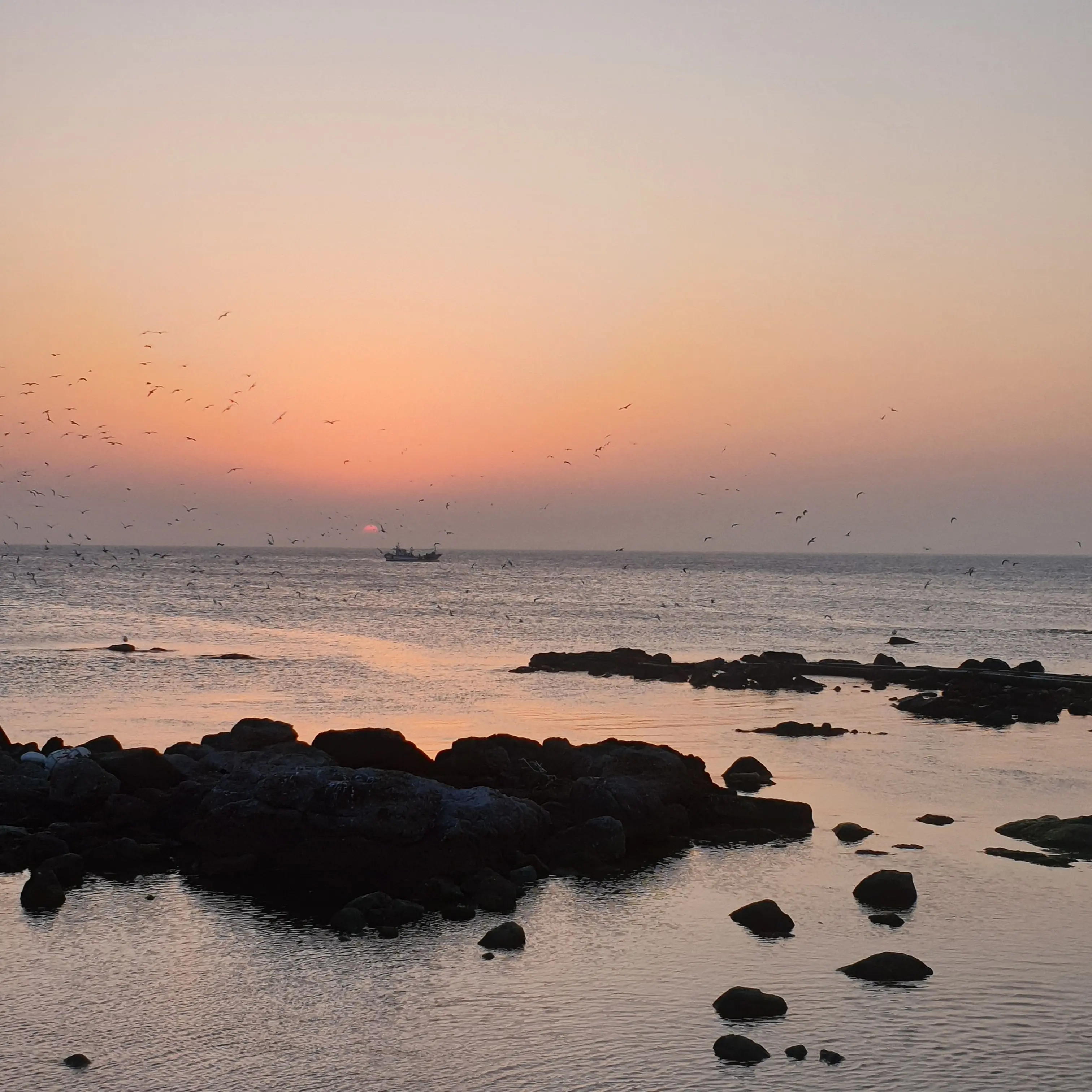 Jjimin2의 덕개의 누나