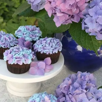 Profile image of 수현