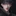 민성환