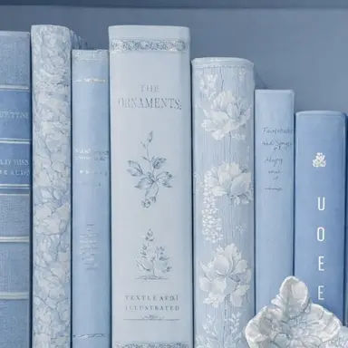 Profile image of 파이브