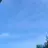13명