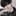 신채호