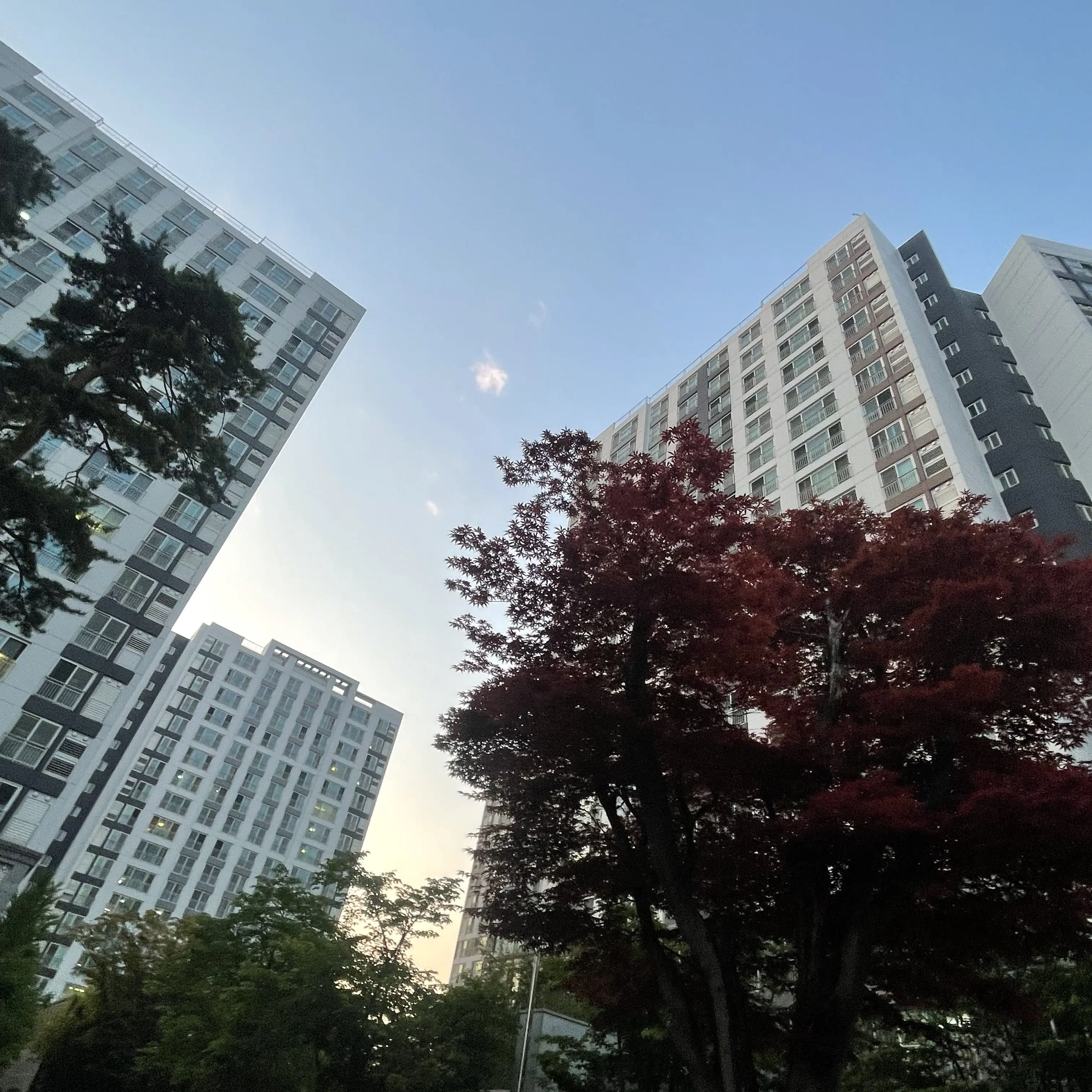 GruffAnger5781의 임신한 여우