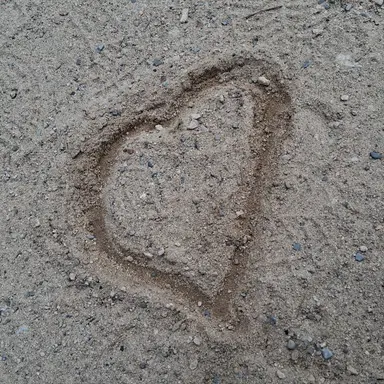 Profile image of 남사친들