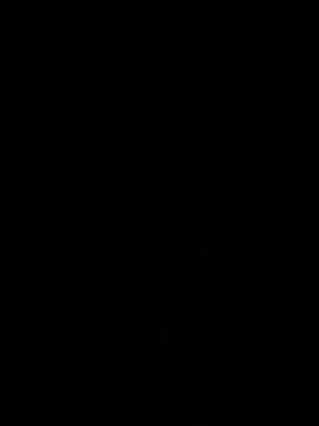 nacht._의 全部演技なの、どうか嫌って。