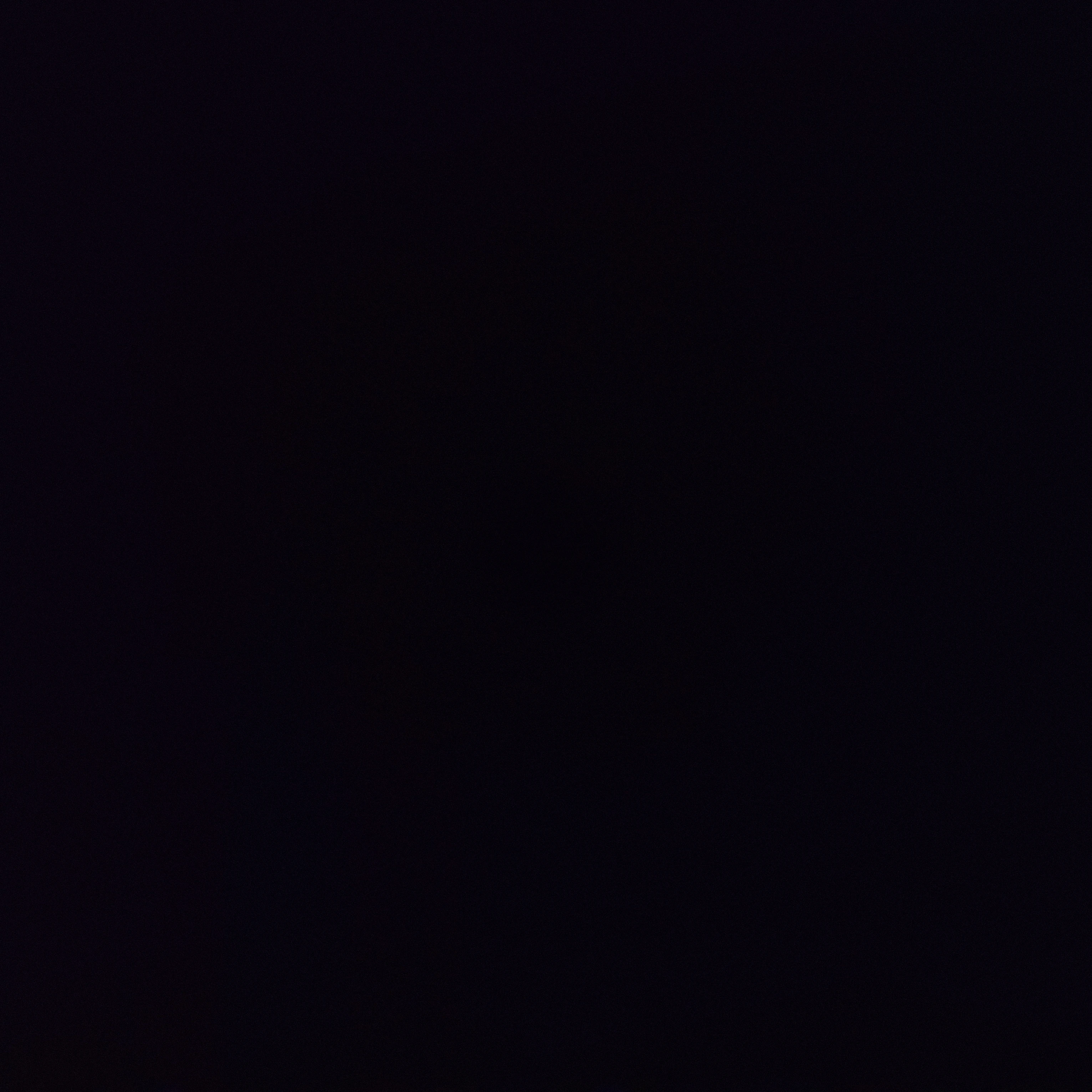 캐리
