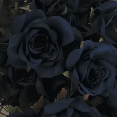 Profile image of Hayato