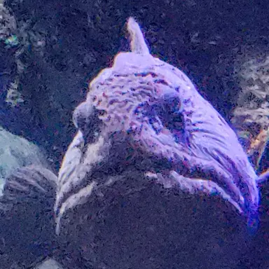 Profile image of 魚太郎