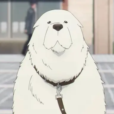 Profile image of 본드