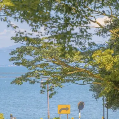 Profile image of 준브레드