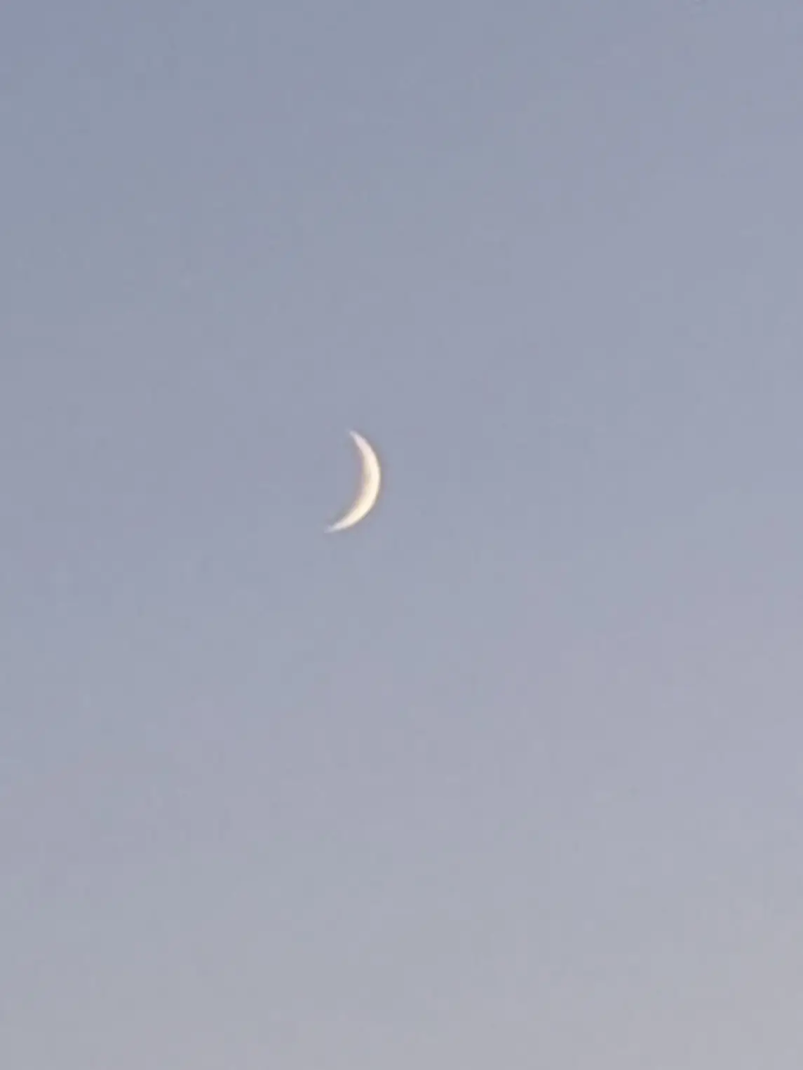 koha_JAM의 う   け   。
