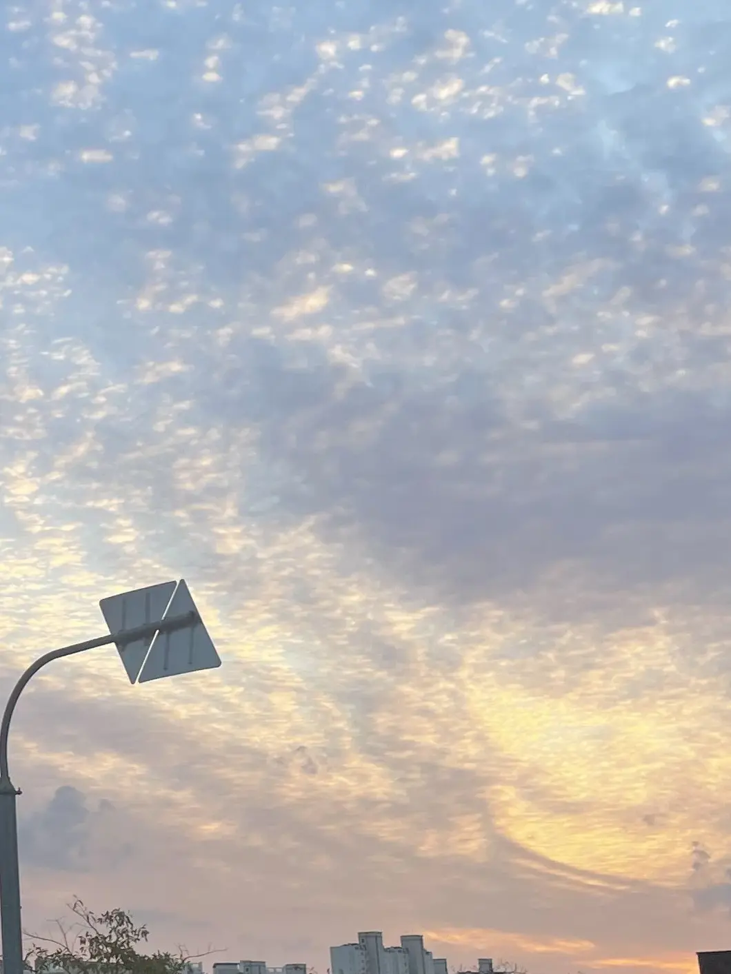 SnowyNewt6848의 미안…이제 나도 못버티겠어.