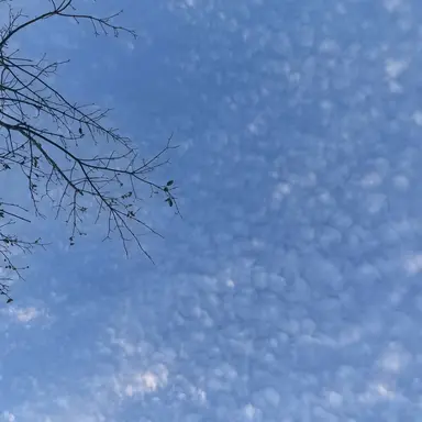 Profile image of 덕개