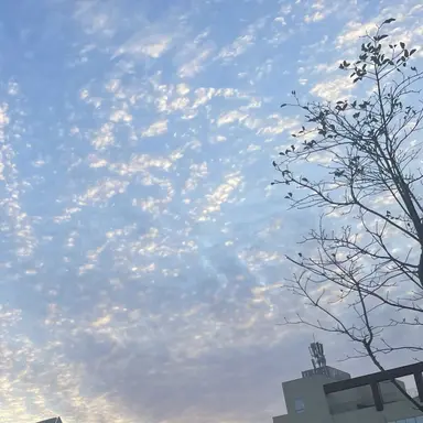 Profile image of 라더