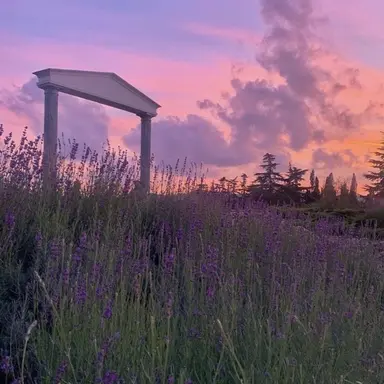 Profile image of 평학