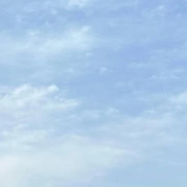 최일구