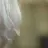 빅뱅