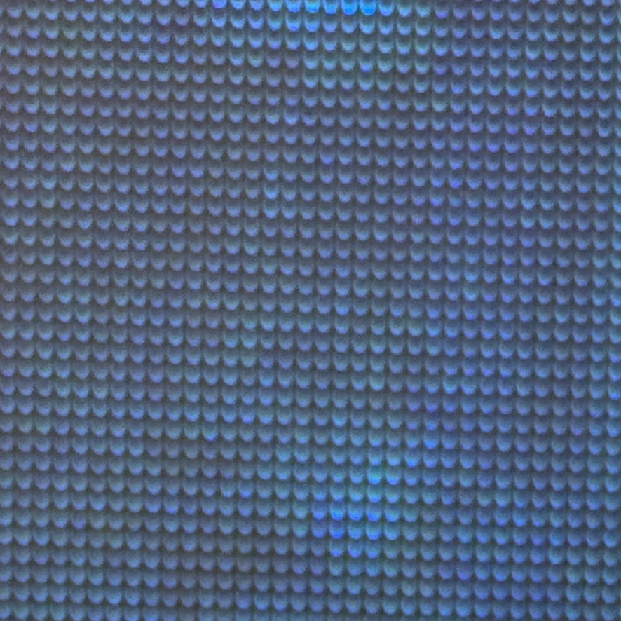홍지수