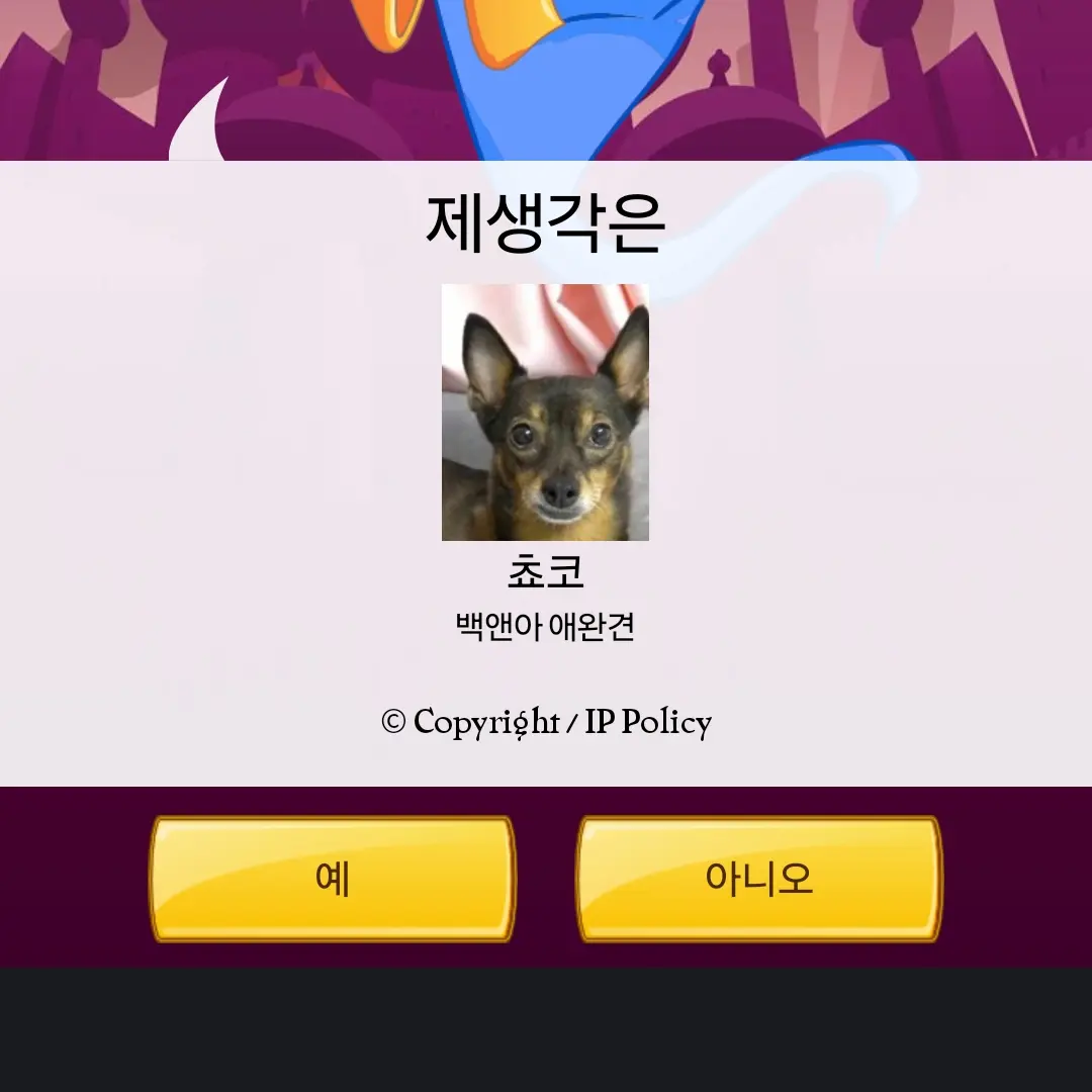 FloralCart4131의 고고프렌즈가족!