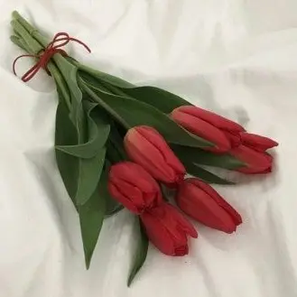 Profile image of 라더