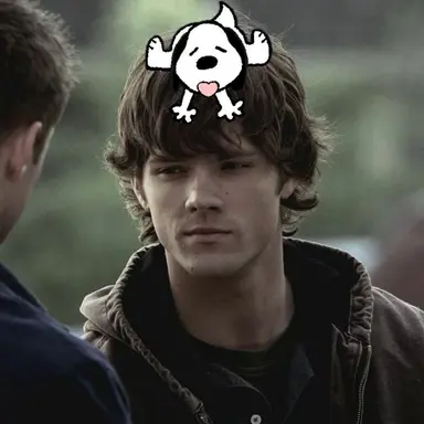 Profile image of Sam