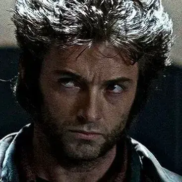 DecentBay2272의 logan howlett