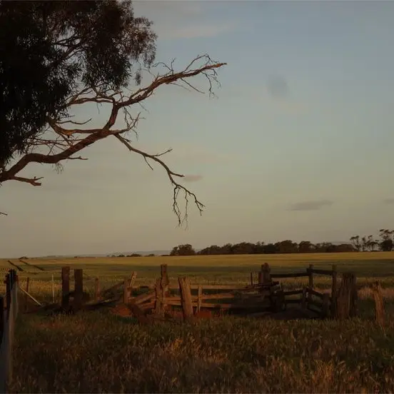 RacialOptic2975의 The Watcher In The Fields