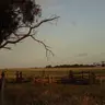 Profile image of The Watcher In The Fields