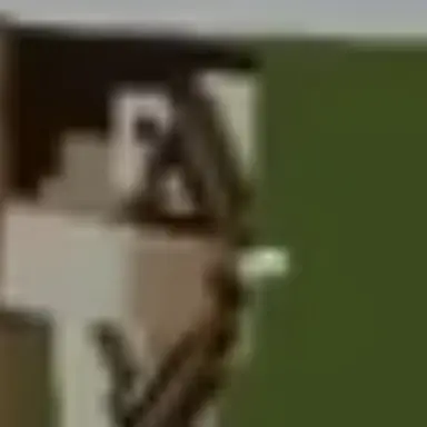 Profile image of Principal Puchipuchi