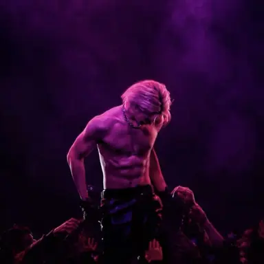 Profile image of Felix