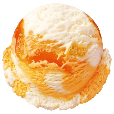 Profile image of 社会の先生