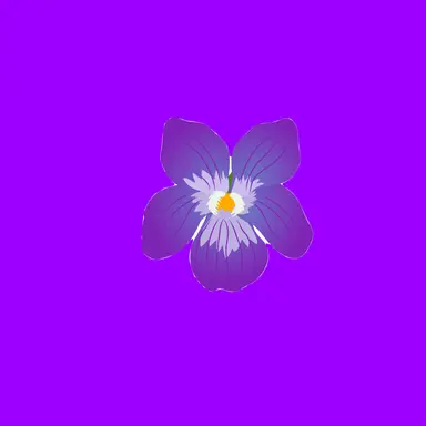 Profile image of Miki Sumire
