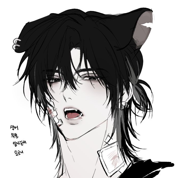 이수호 대표 이미지
