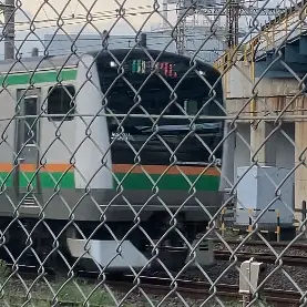 RoughGlue7675의 電車とポーランドボール