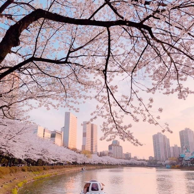 라더 대표 이미지