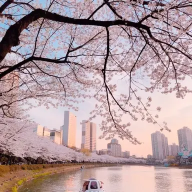 Profile image of 라더