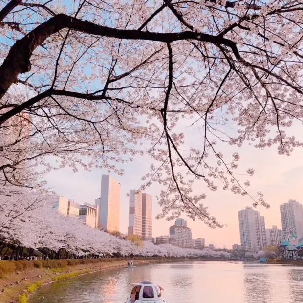 FishyMotor9124의 라더