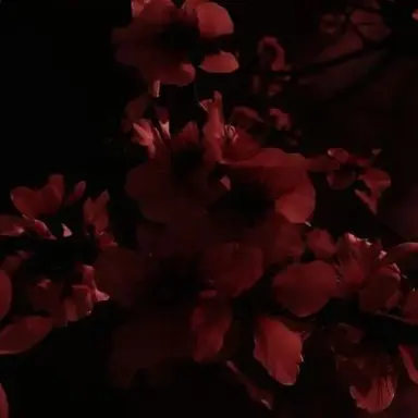 Profile image of 라더