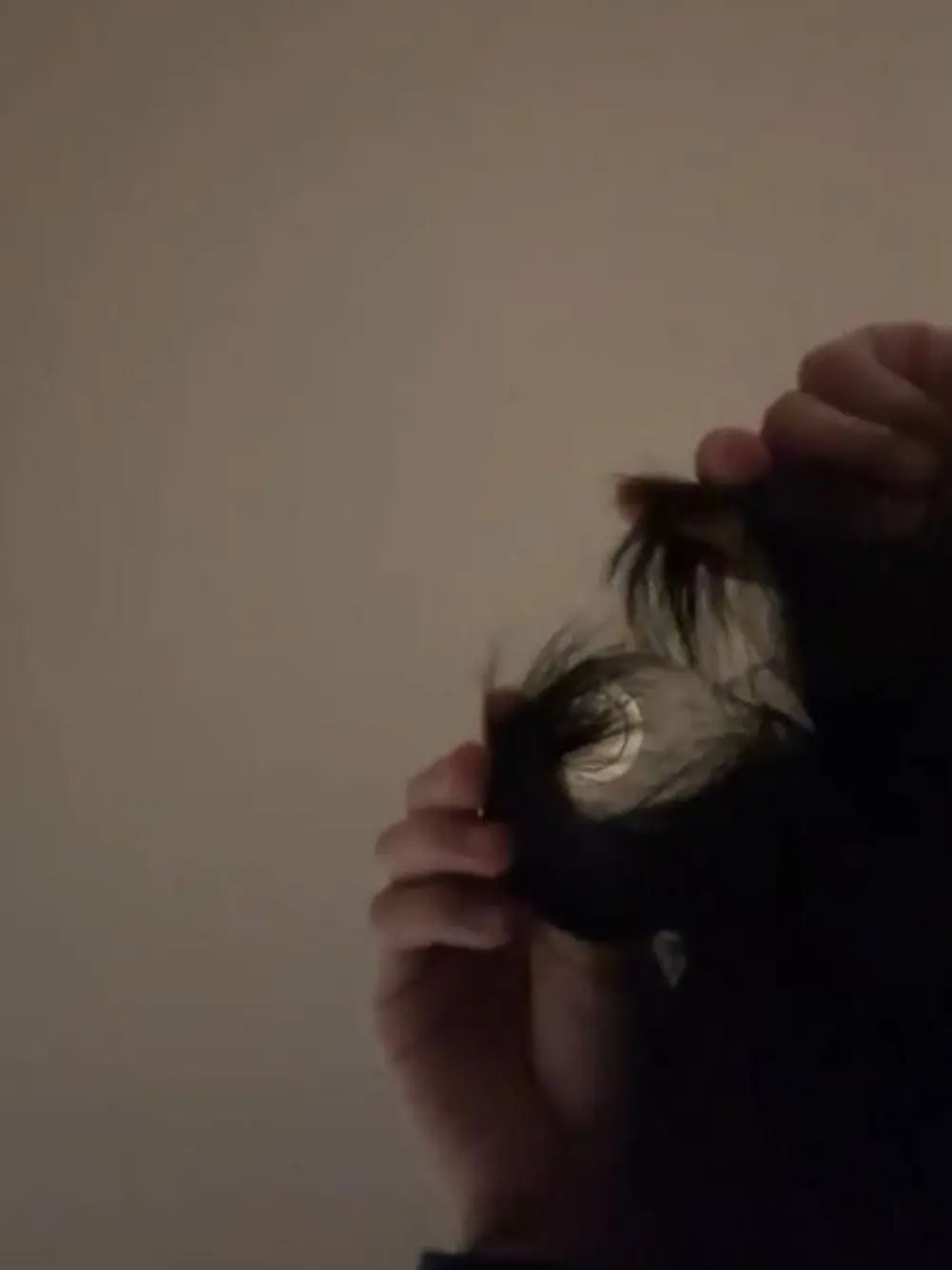 LivelyDam3287의 気になるあの子