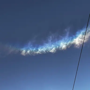 Profile image of 잠뜰