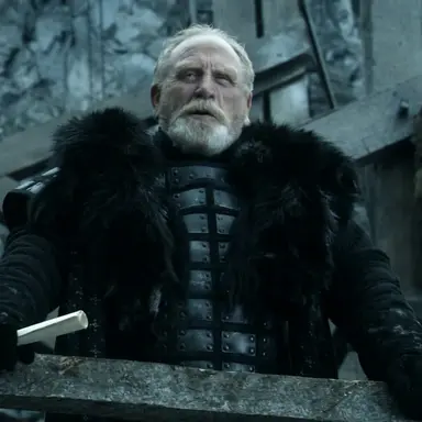 Profile image of Nights Watch Commander