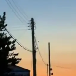 Profile image of 평학