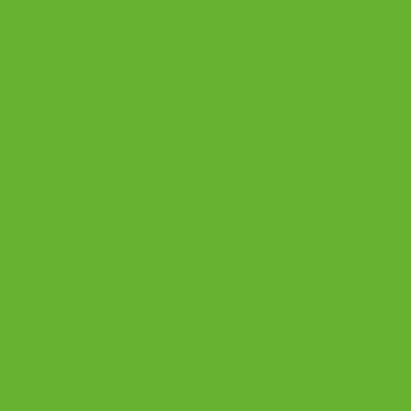 코드네임-Green